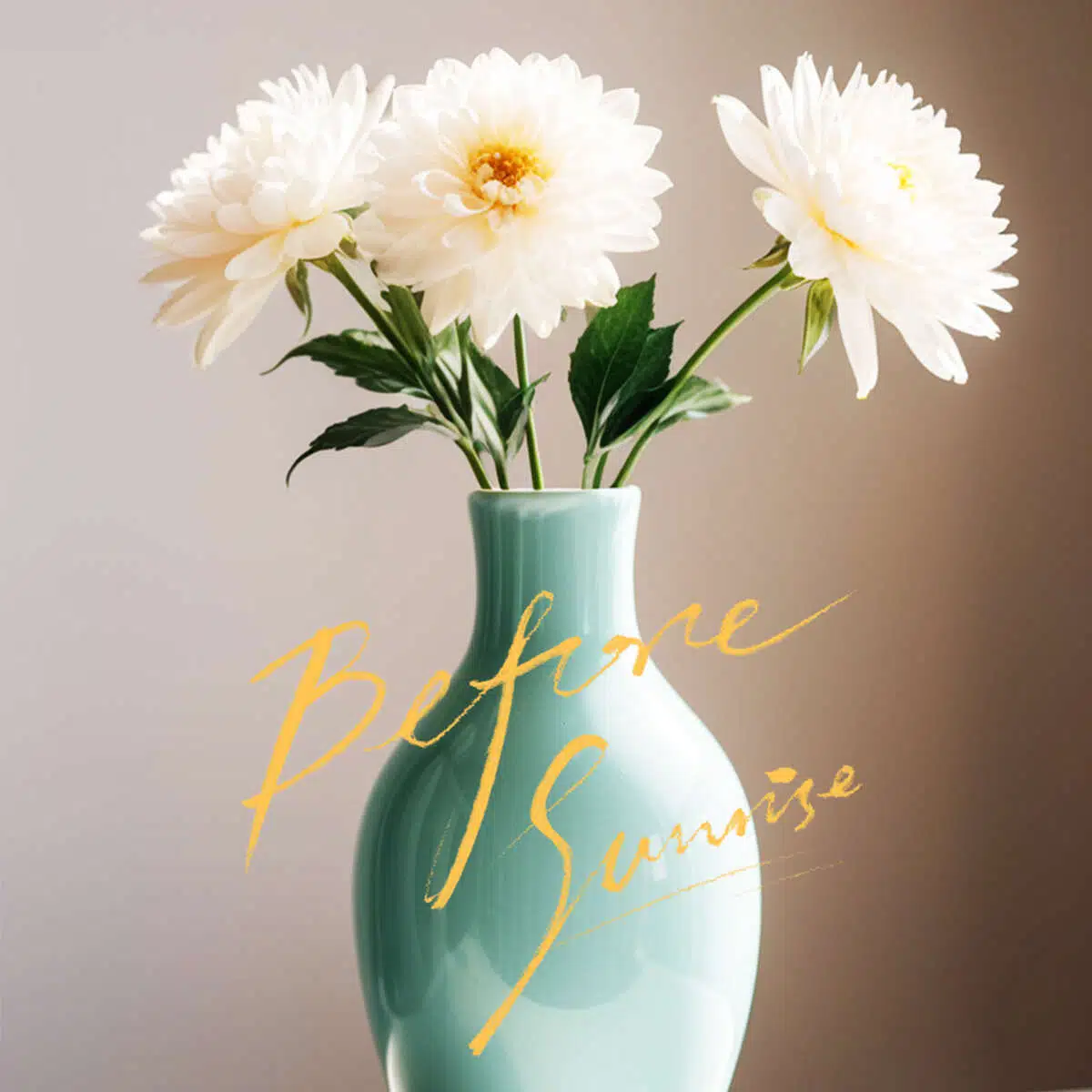 Add Text & Annotations Free