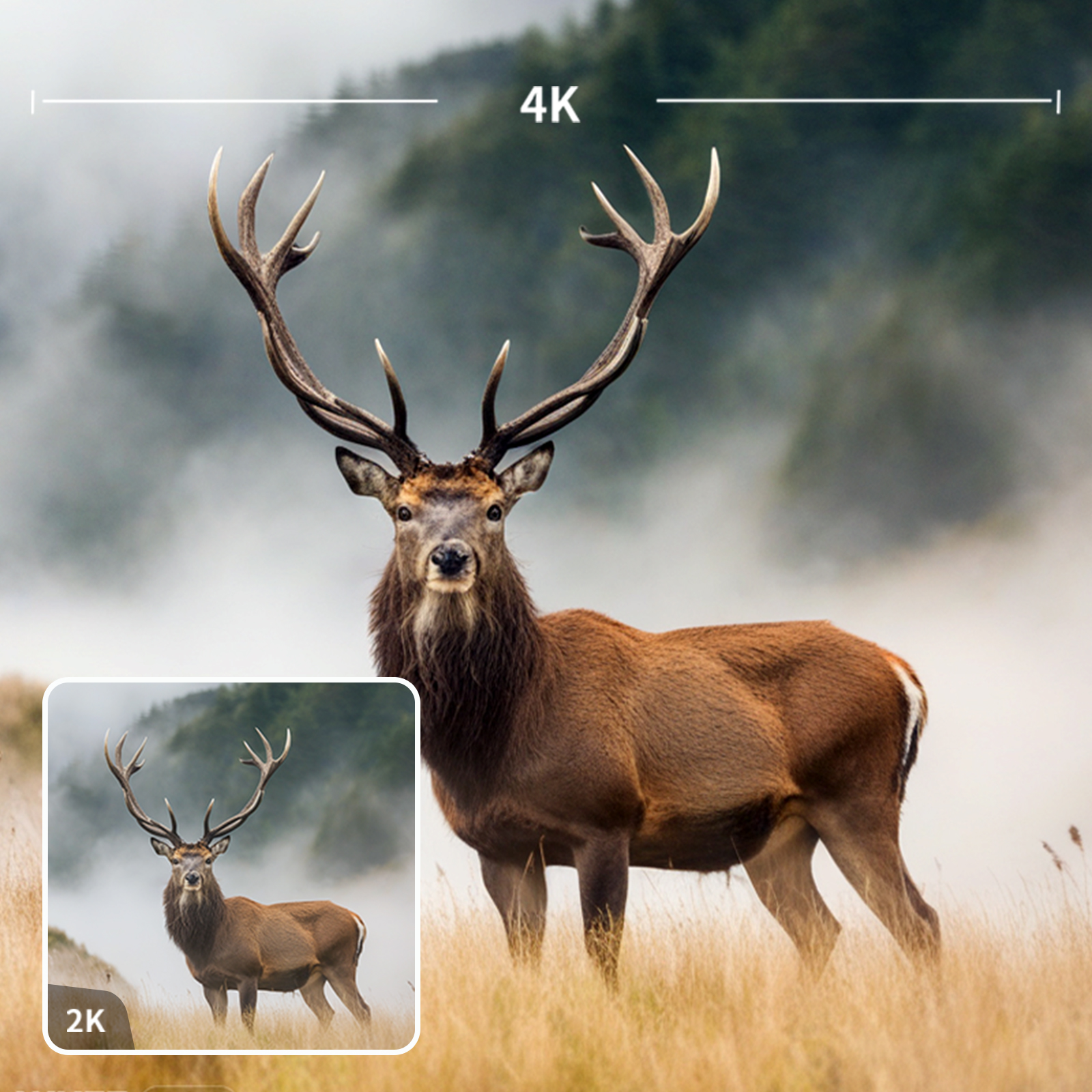 High-Quality Outputs