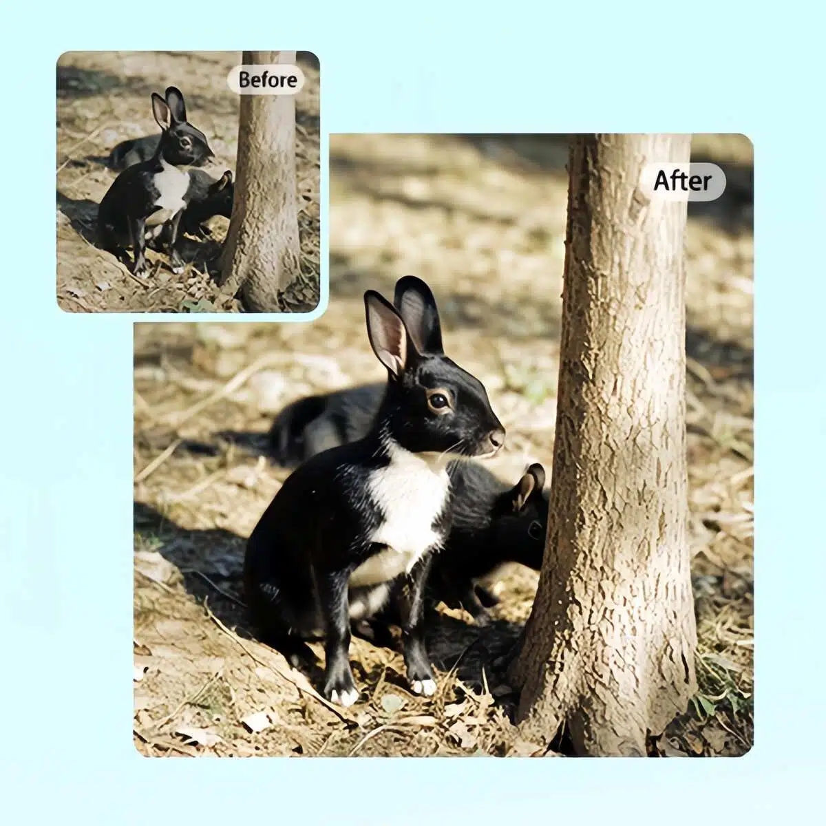 Free 8K Image Upscaling