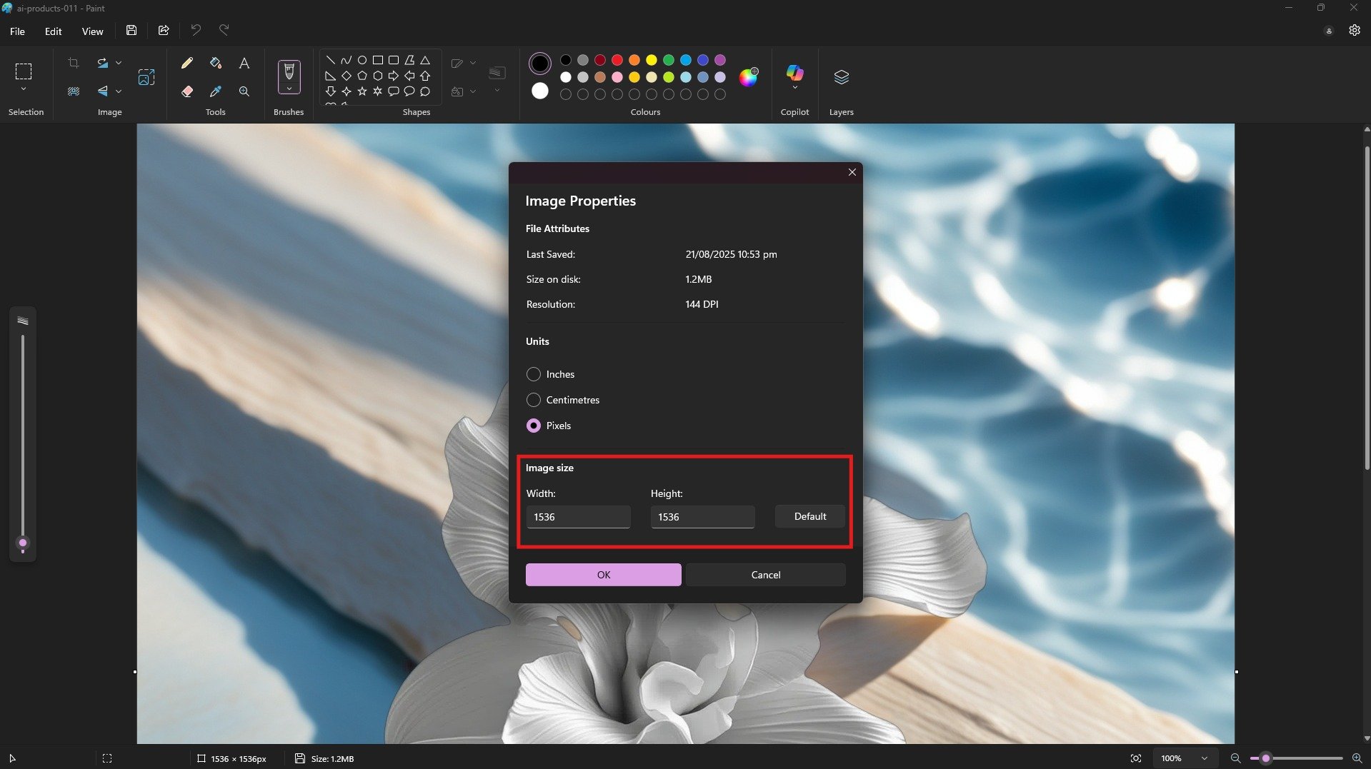 paint rezize