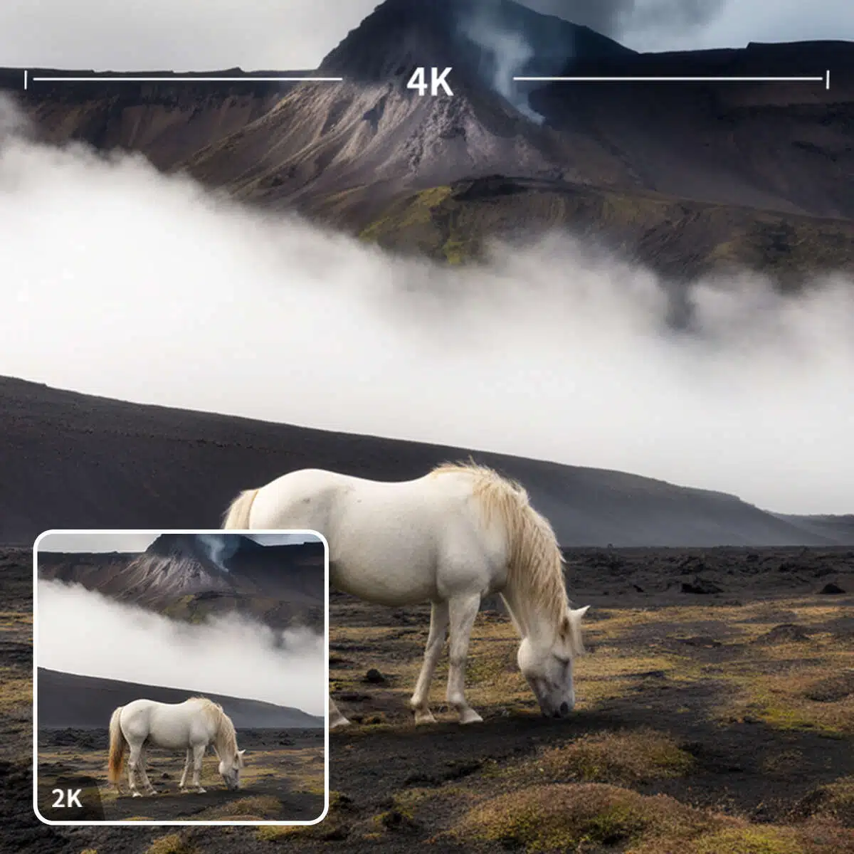 Simple and Fast Process