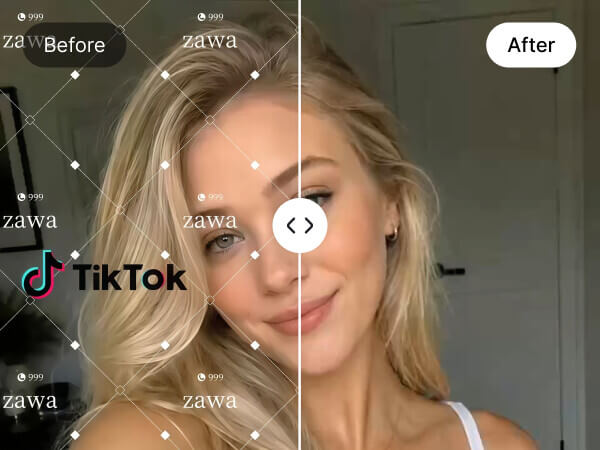 Video Watermark Remover