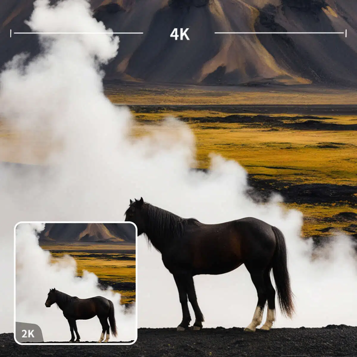 Quick and Easy Process