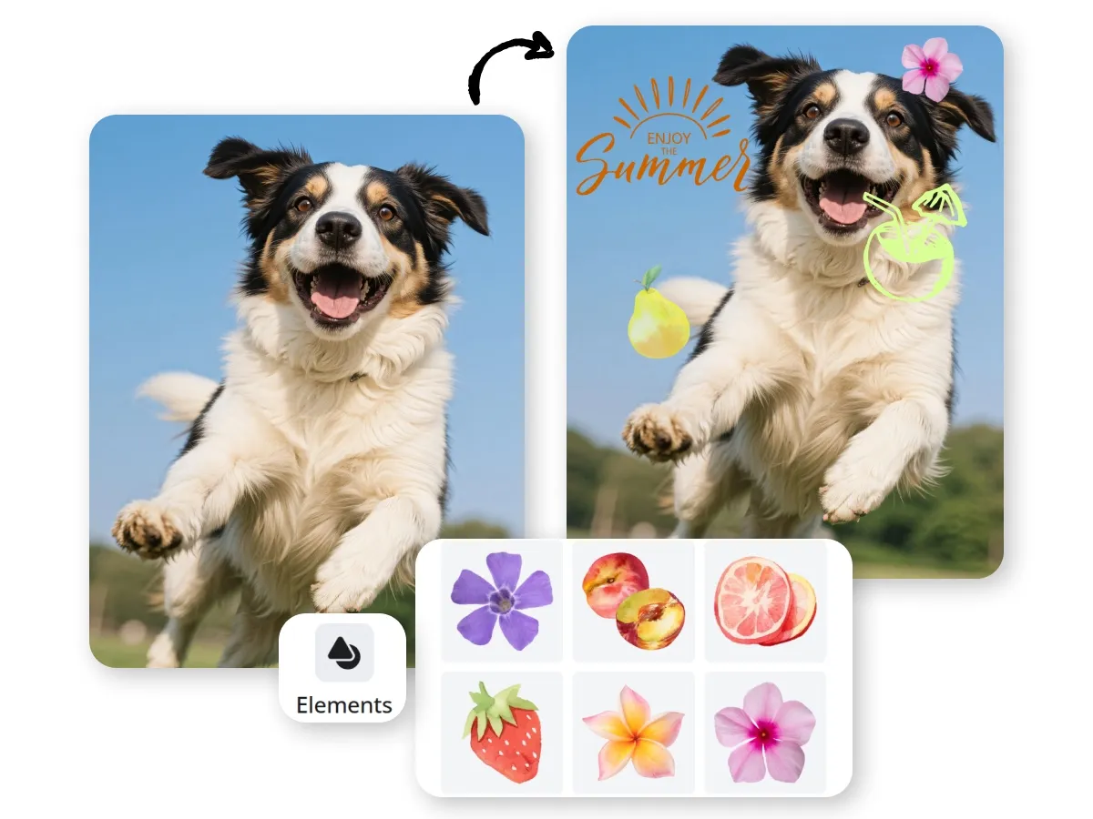 Trendy Photos with Regular Sticker Updates