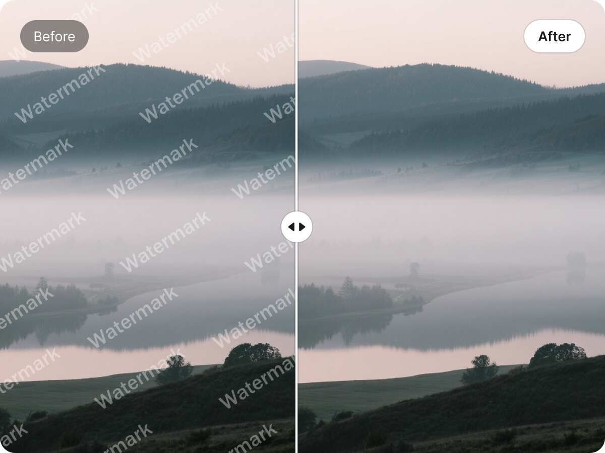 bulk watermark remover