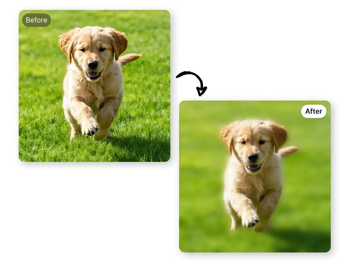 Instantly Perfect Your Photos with AI
