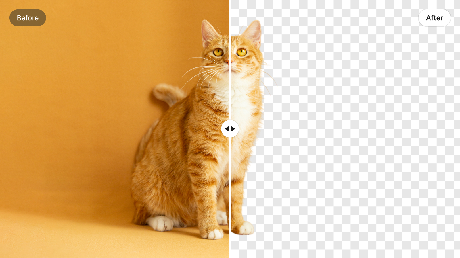 png maker