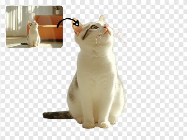 make people background transparent