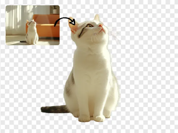 make people background transparent