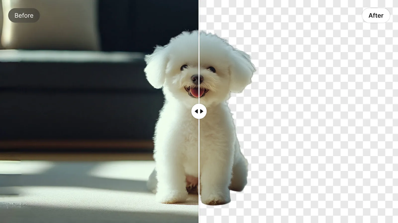 png background remover 