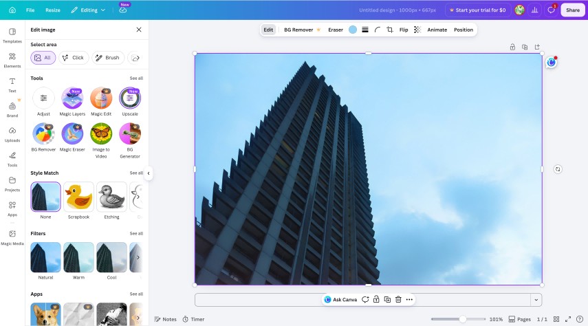 Remove Background While Editing a Photo