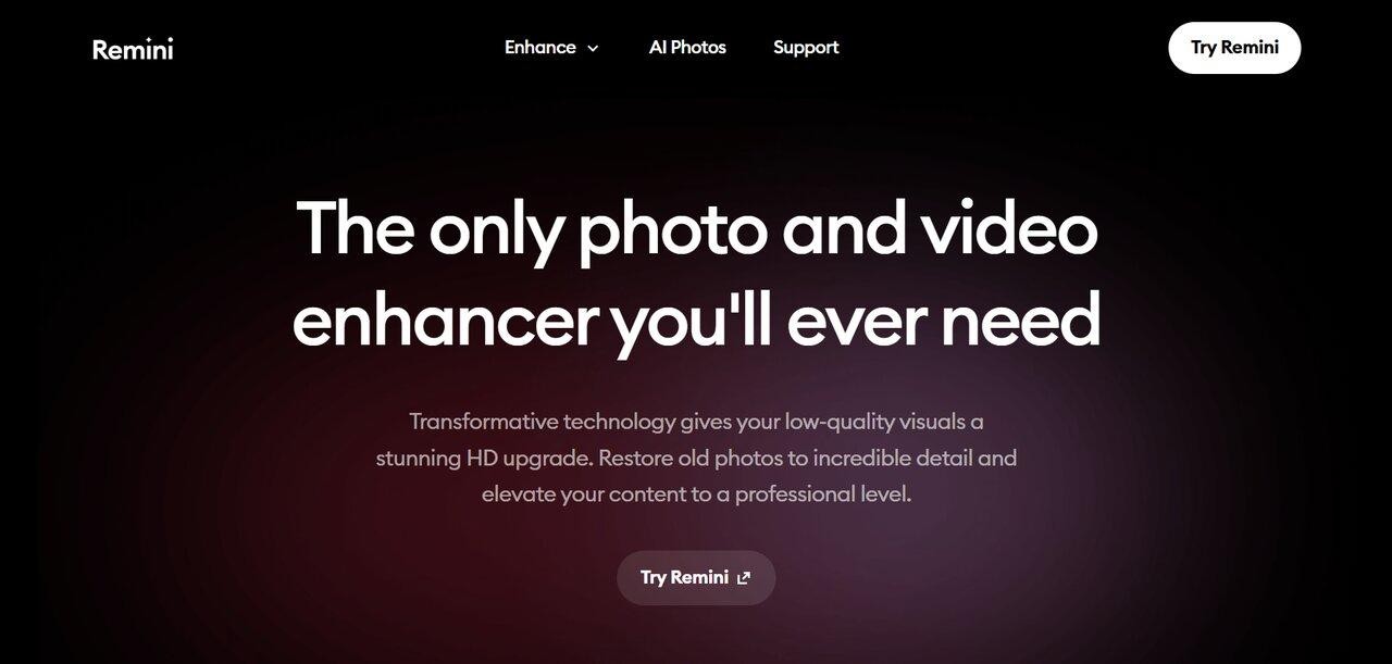 Remini interface