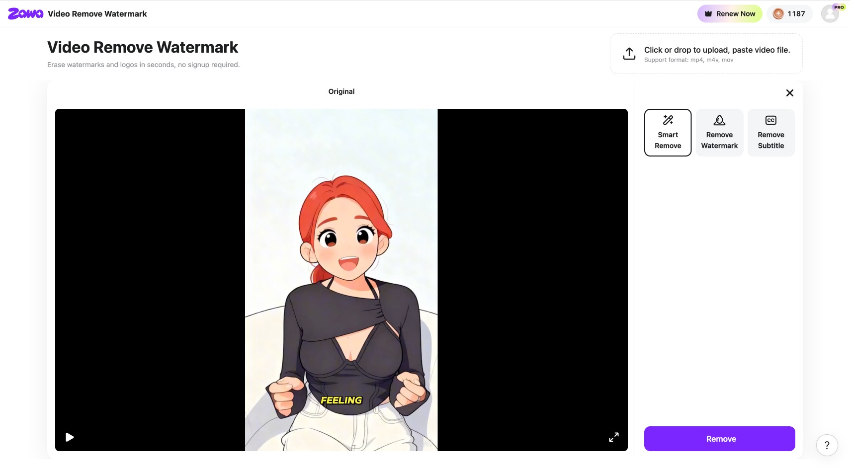 the video loads in the editor