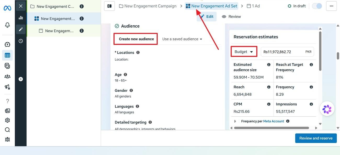 set ad audience and budget