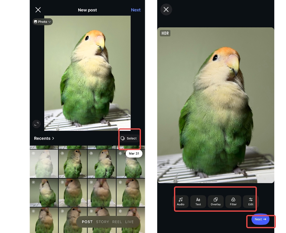 Choose or capture the photo and edit