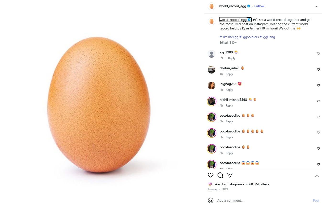 The Instagram Egg (@world_record_egg)