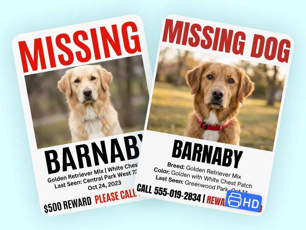 Missing dogs poster