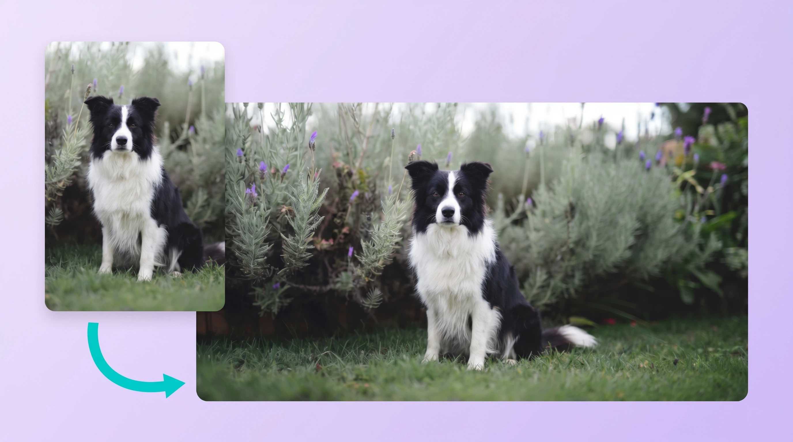 Background expansion