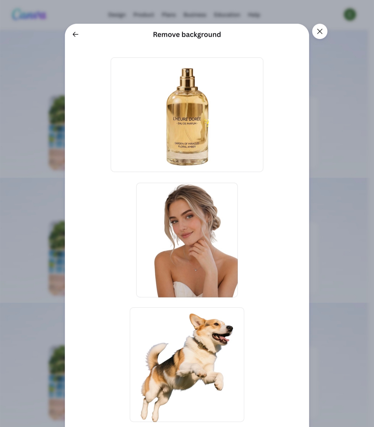 canva remove bg for product portrait and pet images