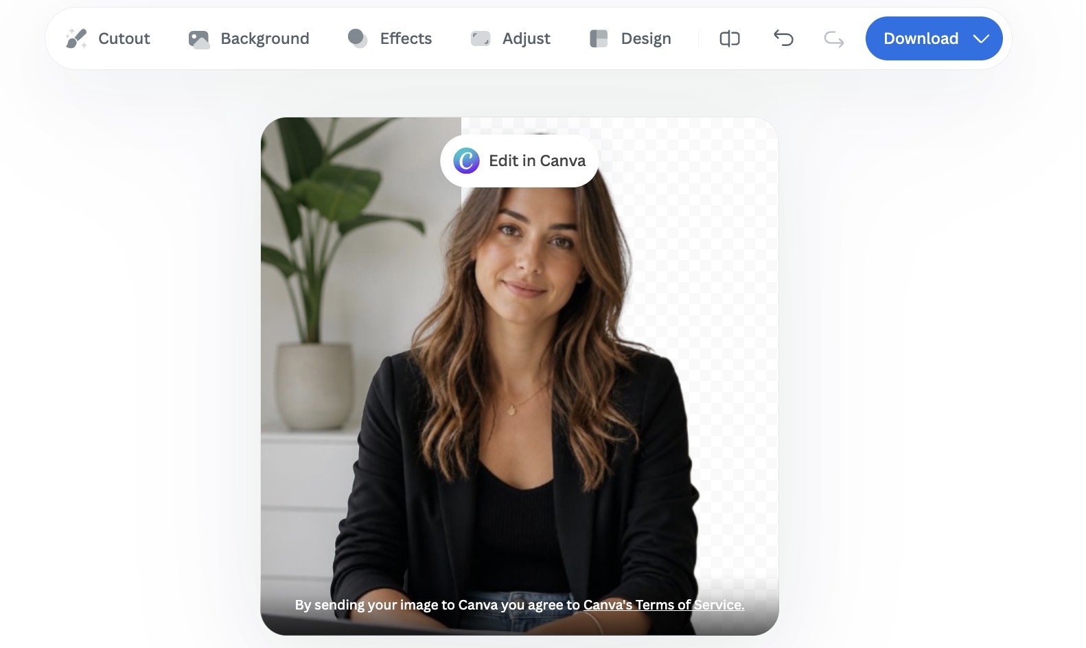 remove bg for portrait image