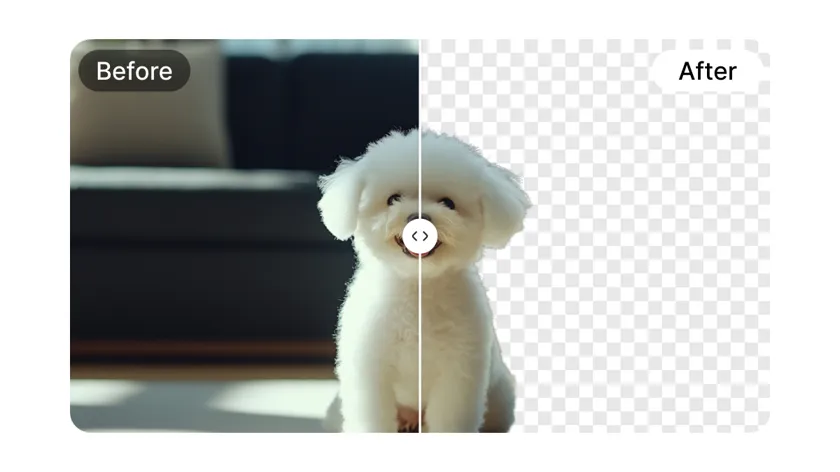 Cut out pets photo