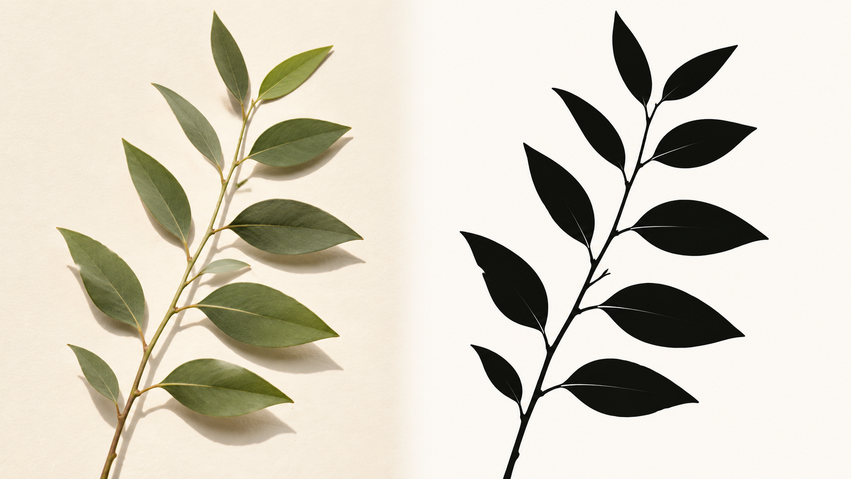 Botanical photo converted into a clean black-and-white stencil design Botanical photo converted into a clean black-and-white stencil design