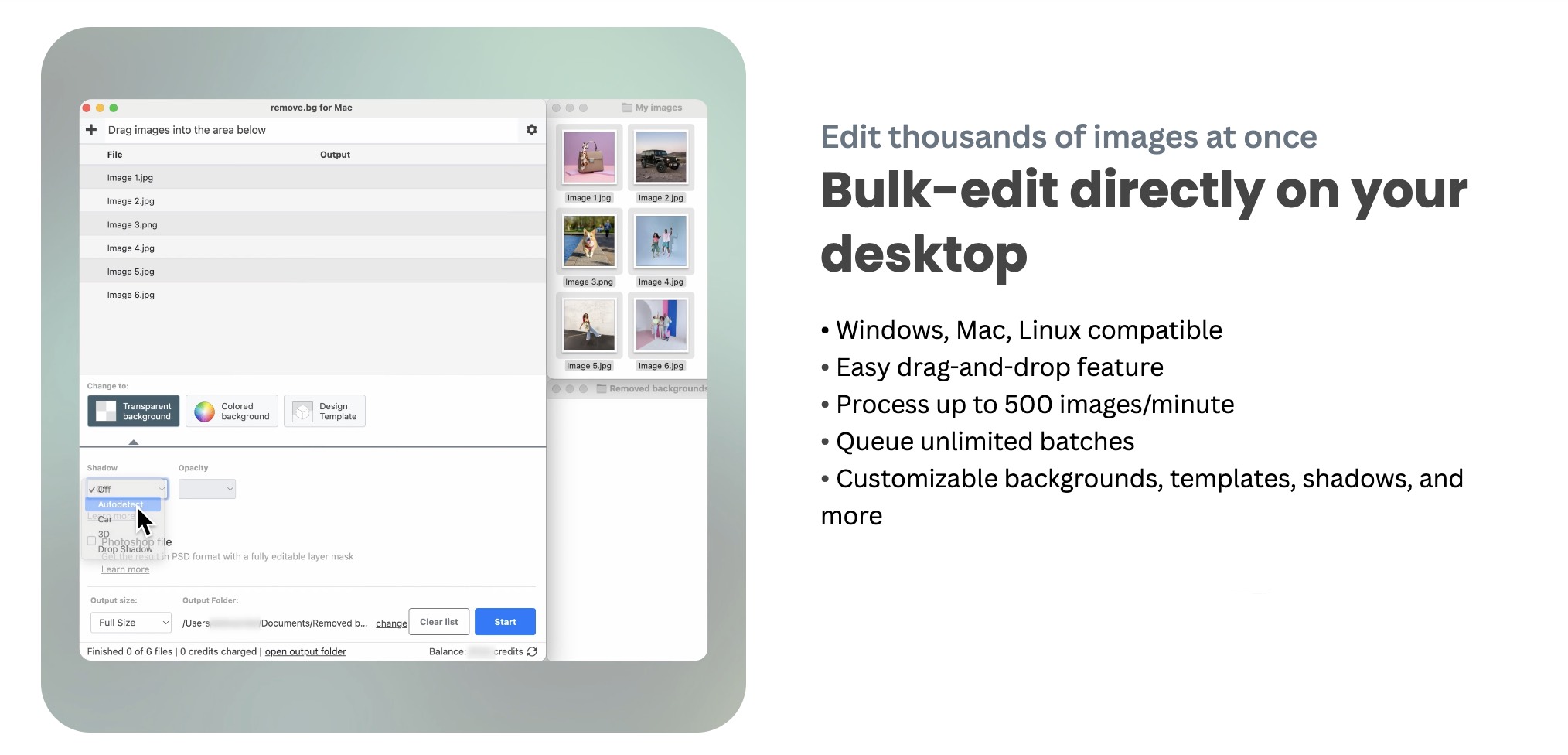 remove.bg Bulk-edit directly on your desktop