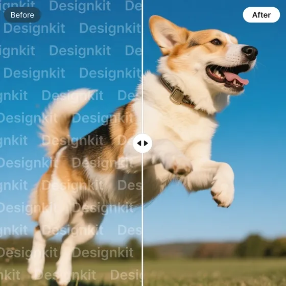 AI Watermark Remover for Images