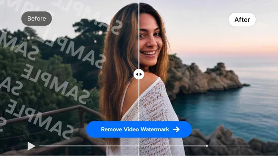 video watermark remover