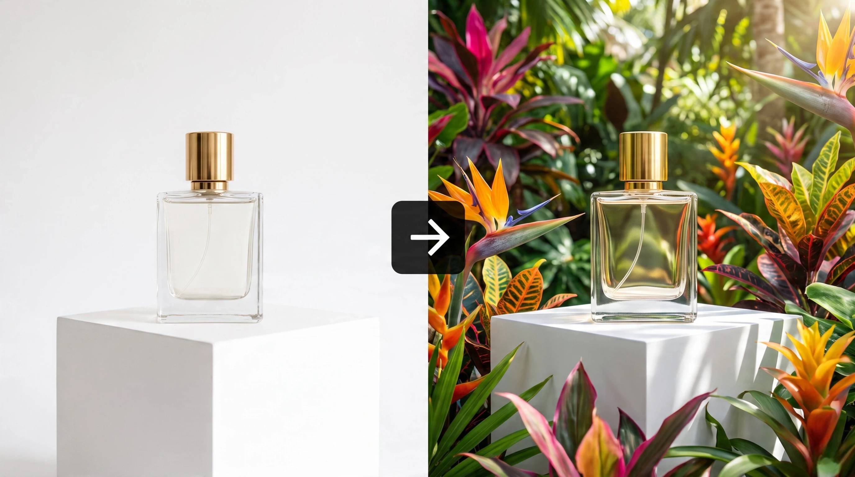 New Product Launch