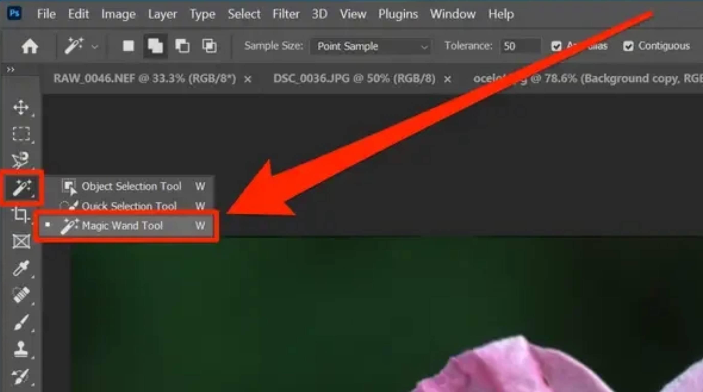 Magic Wand Tool