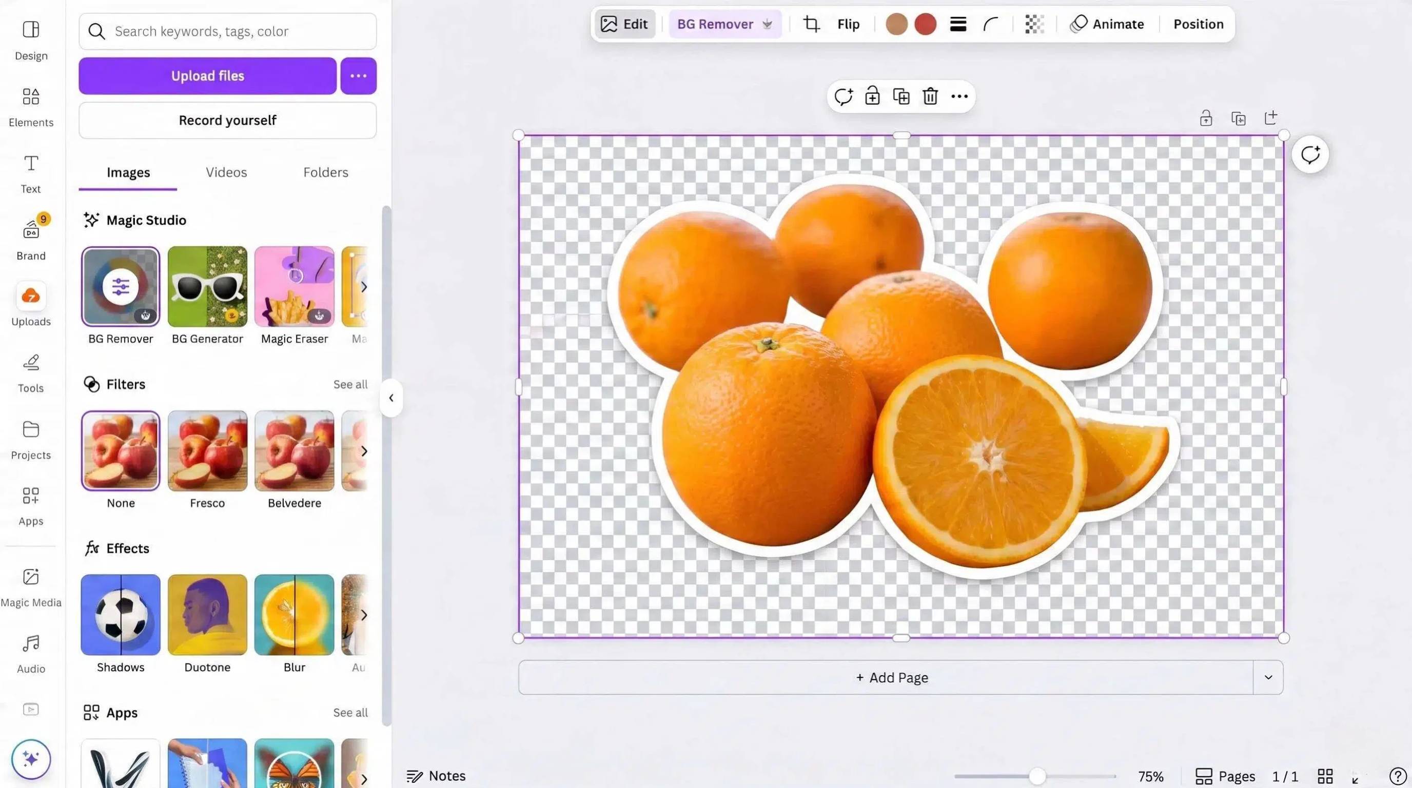 How to Remove Background in Canva on Desktop Apply the Background Remover Tool