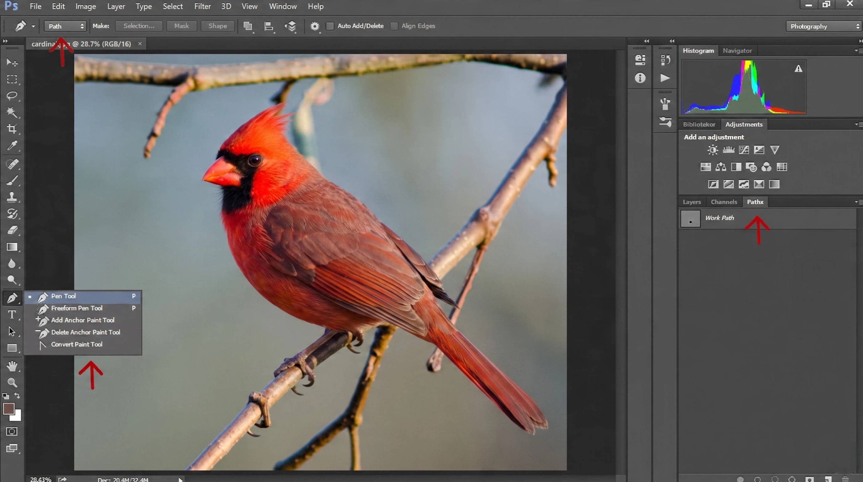 Pen Tool