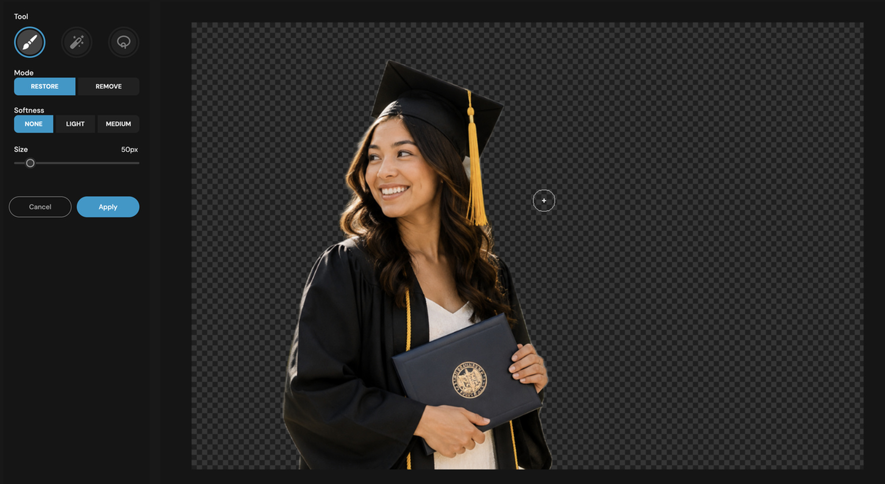 How to remove background in Pixlr Adjust the cutout