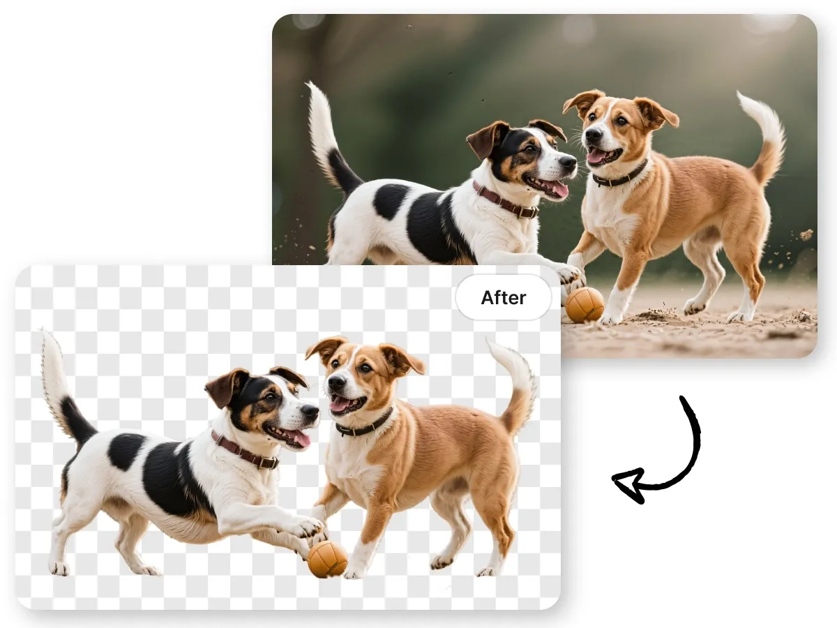 Supprimer l'arrière-plan d'une image de chien