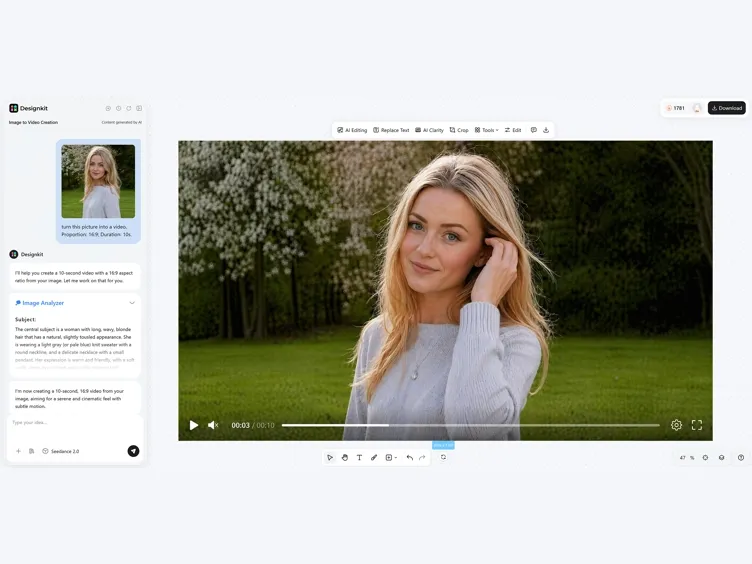Preview and Export