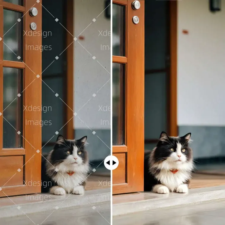 AI Watermark Remover for Images