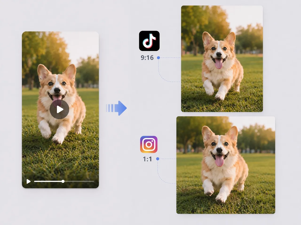 Short-form video style changes