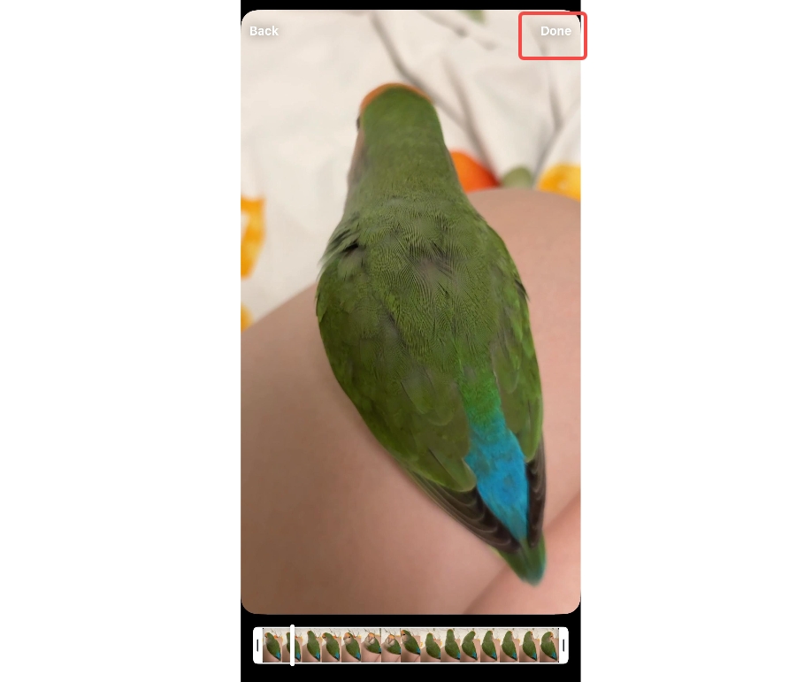 Choose from mobile or capture the Story
