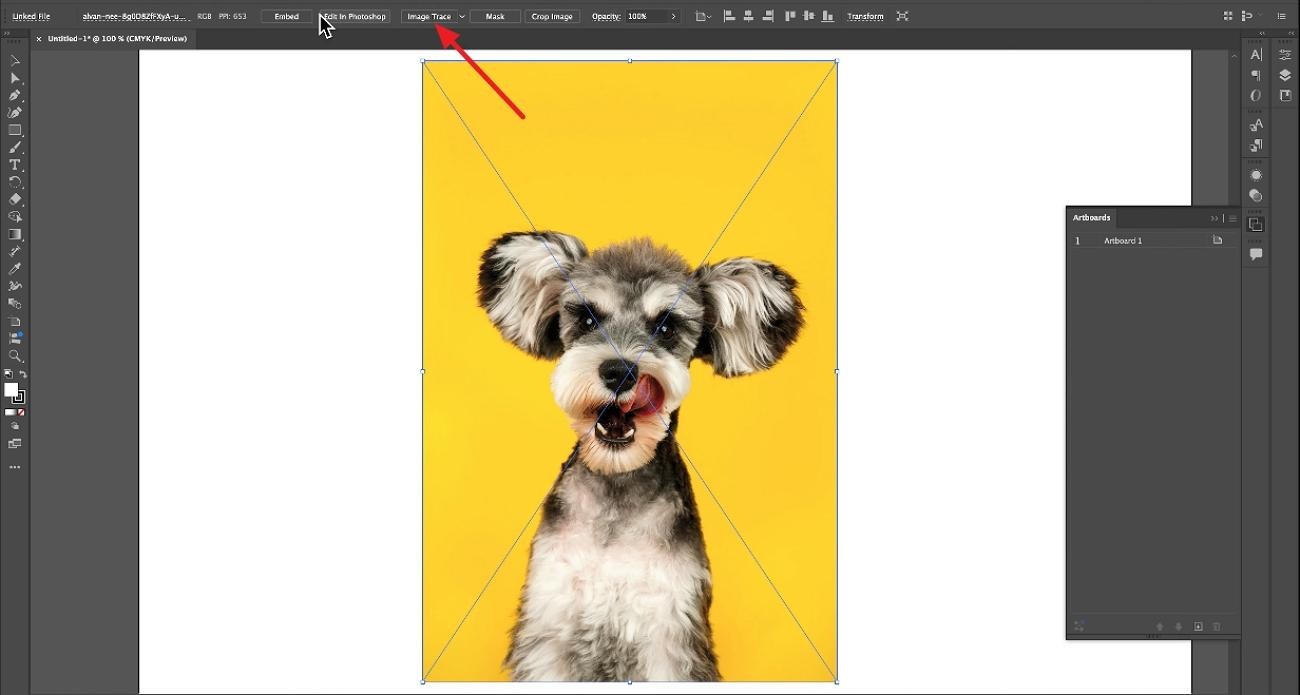 access image trace option