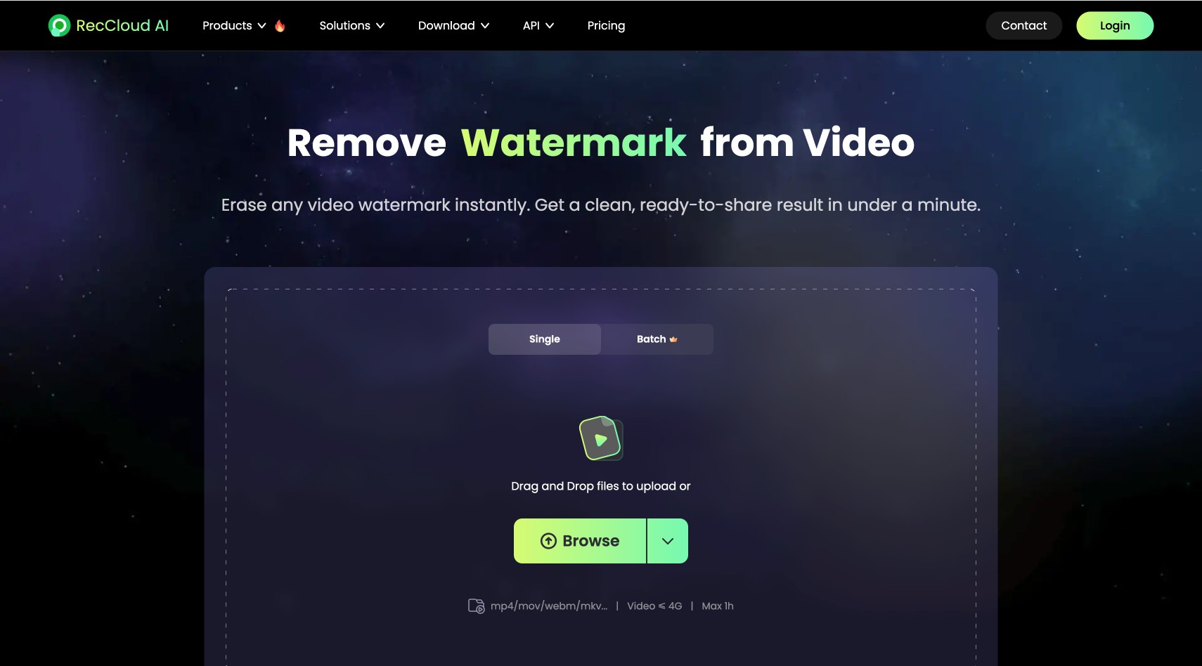 Video Watermark Removal