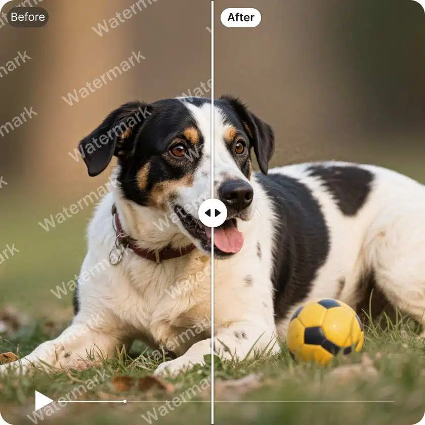 Remove Seedance Logos and Text Watermarks