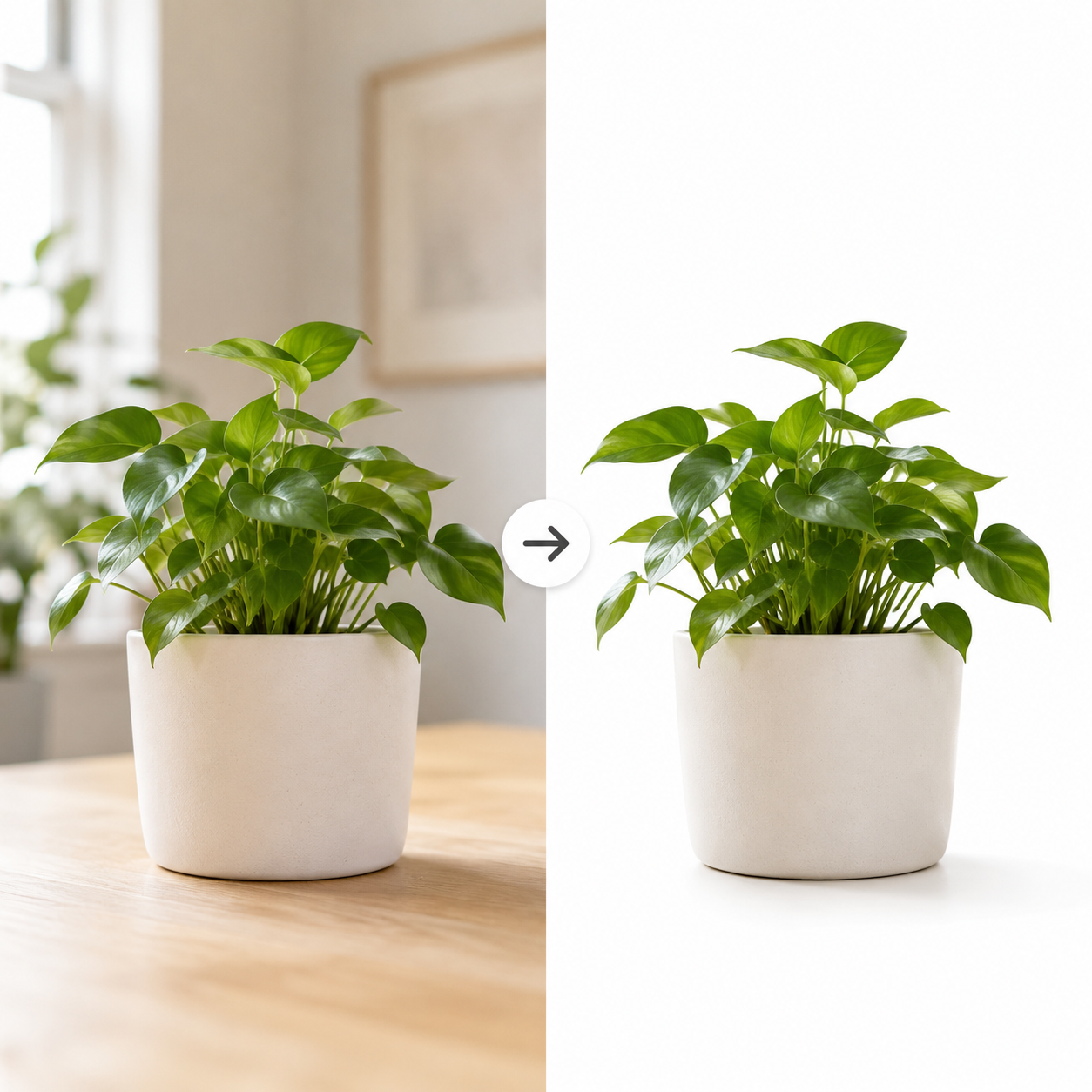 ZaWa AI Background Remover Plant