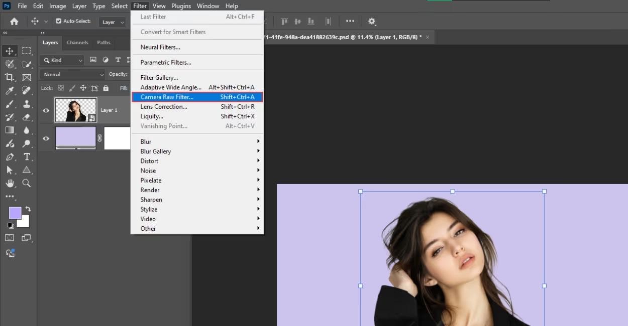 Choose Camera Raw filter