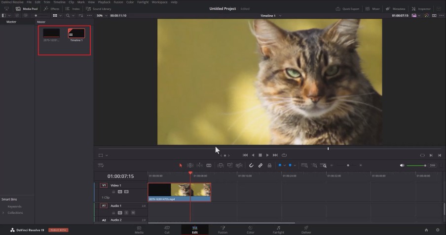 Import your video