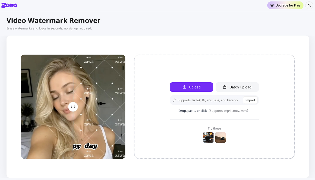 Zawa Video Watermark Remover