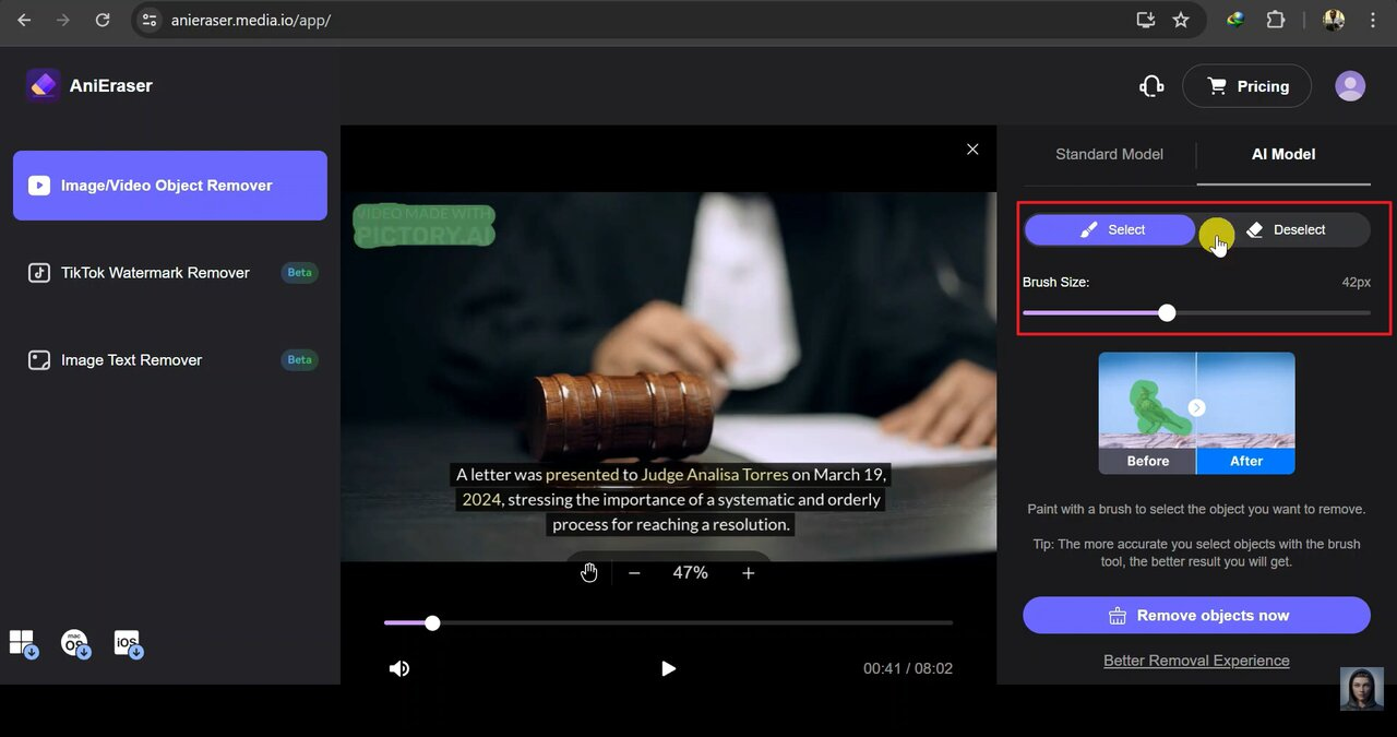 select the watermark area