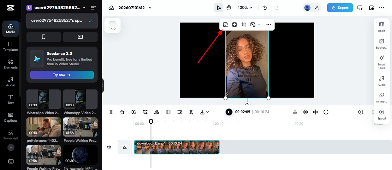 text overlay in video