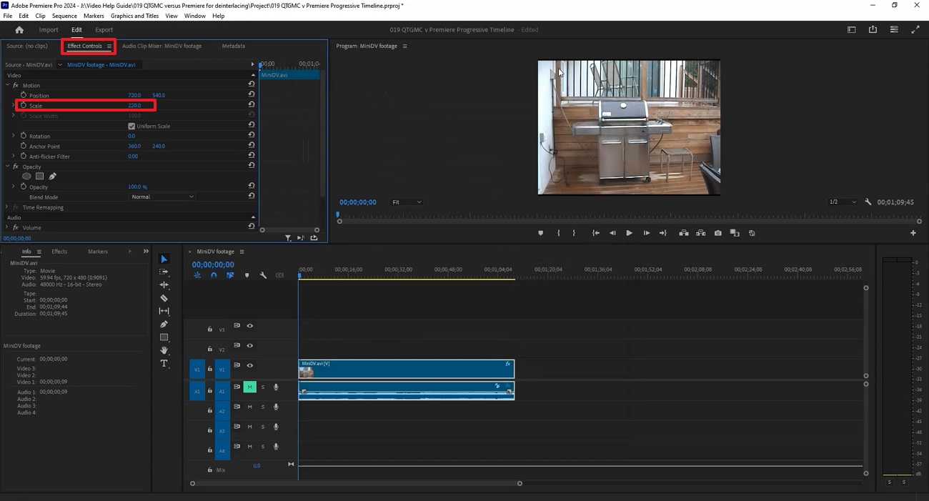 set video scale in premiere pro