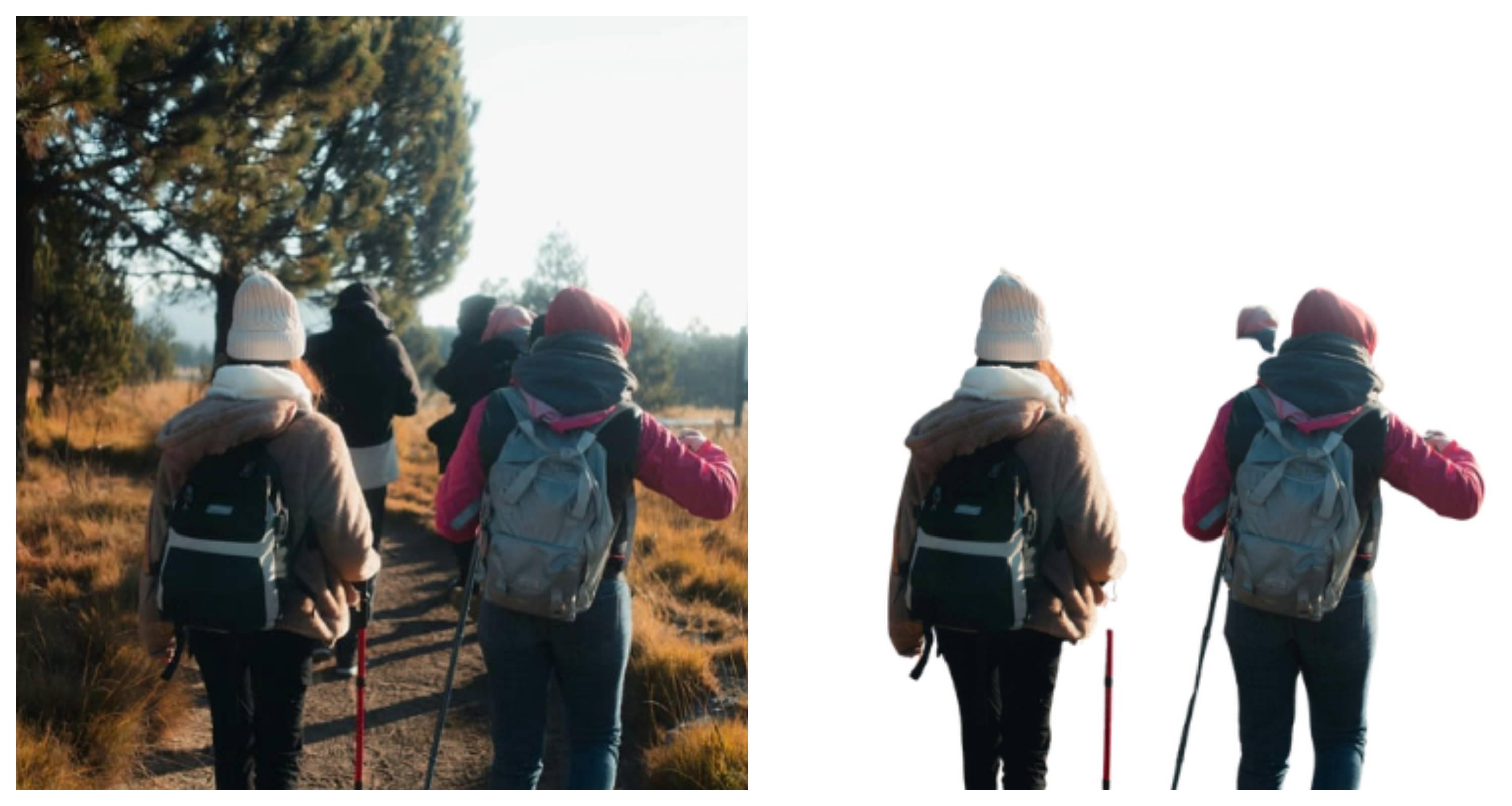 Outdoor Background Removal Comparison